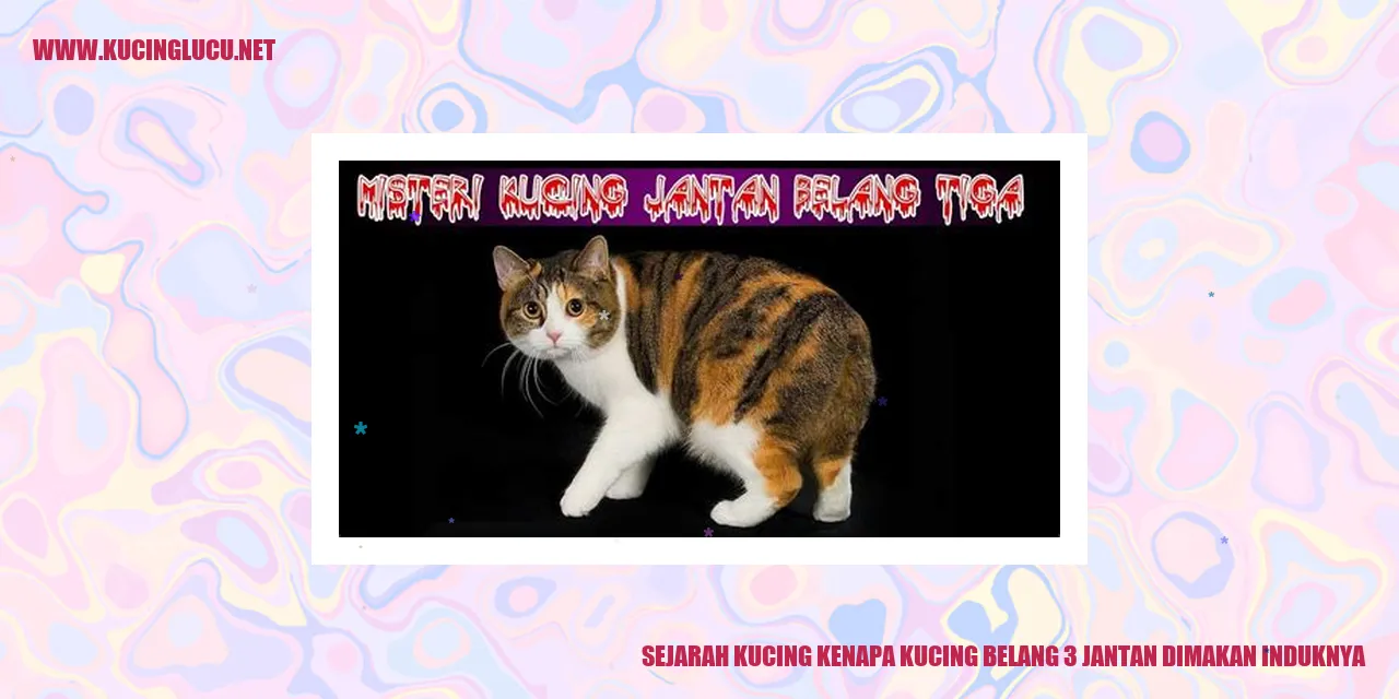 Kucing dengan pola belang 3 dapat dimakan oleh induknya