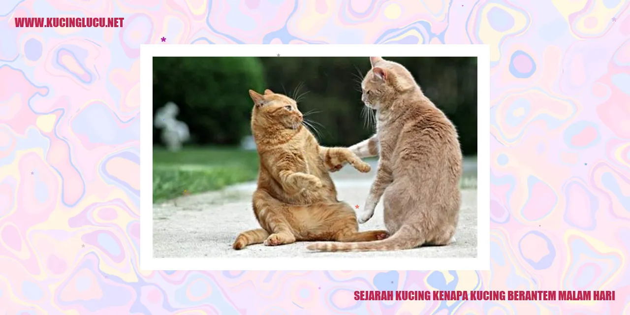 Ilustrasi Kucing