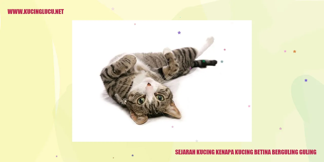 Sejarah Kucing - Kucing Betina Berguling-guling