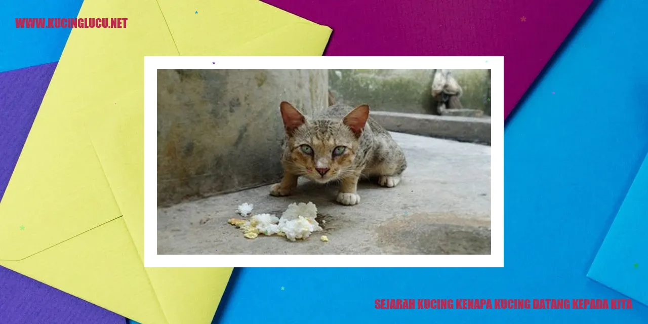 Sejarah Kucing