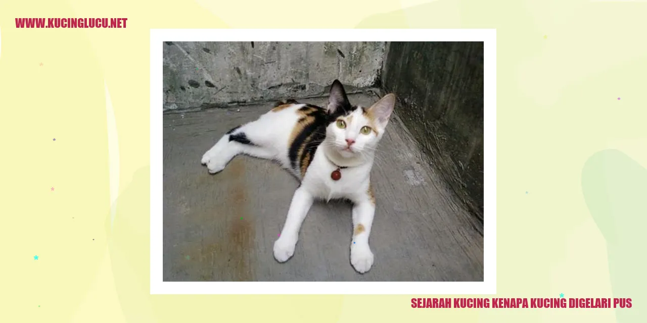 Gambar Kucing