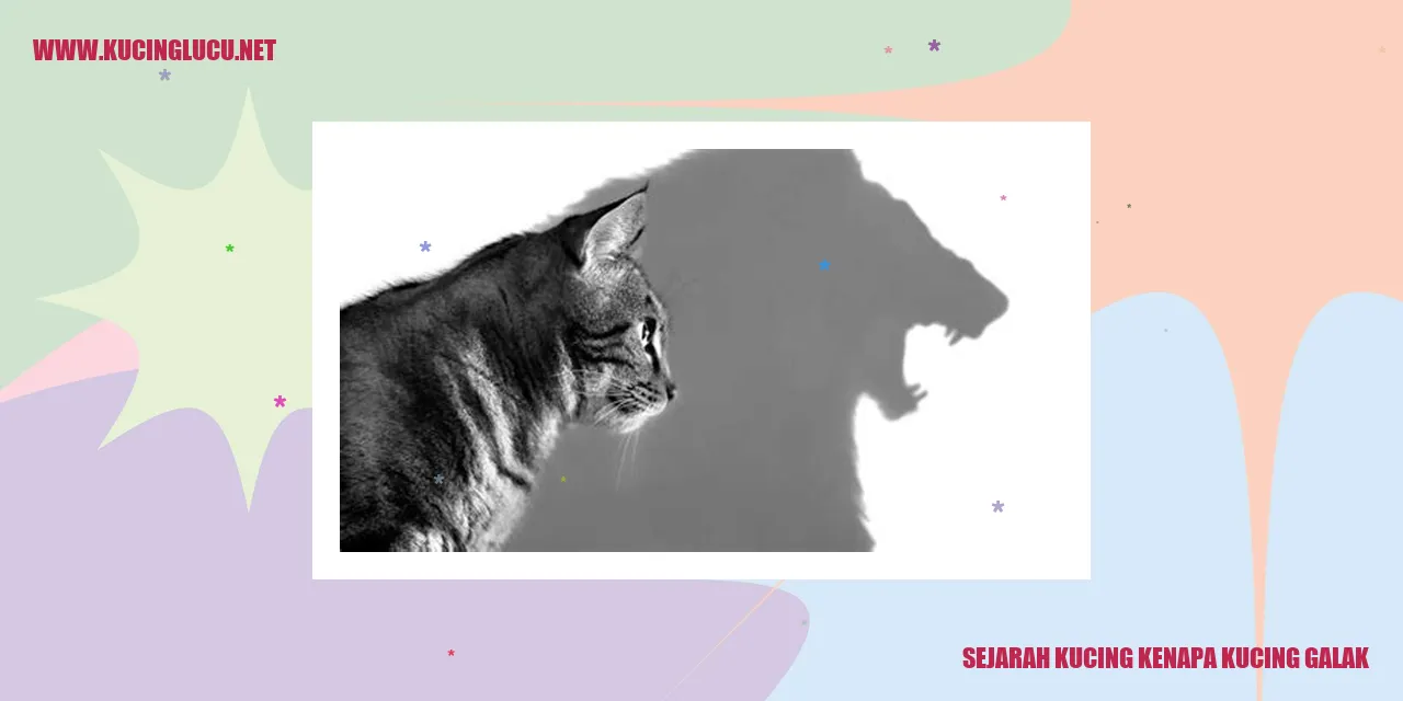 Sejarah Kucing kenapa kucing galak