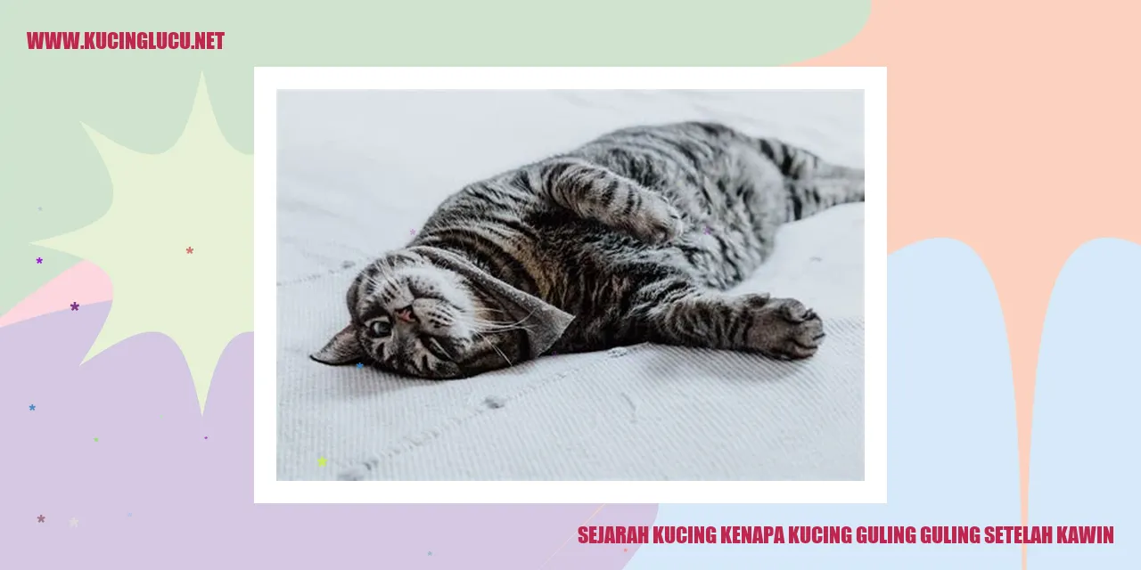 Gambar Kucing yang Melakukan Guling-Guling Setelah Kawin