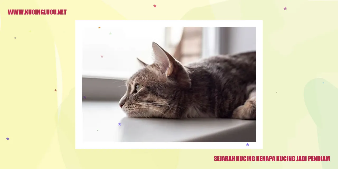 Kucing Kenapa Kucing Jadi Pendiam