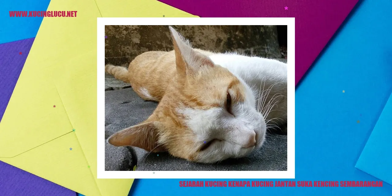 Ilustrasi Sejarah Kucing