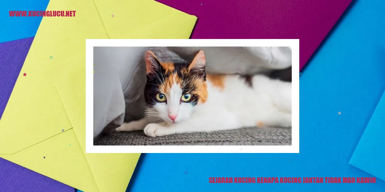 Sejarah Kucing kenapa kucing jantan tidak mau kawin