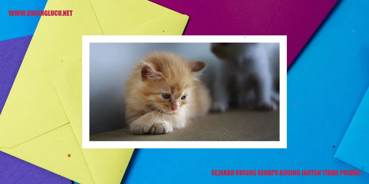 Ilustrasi seekor kucing