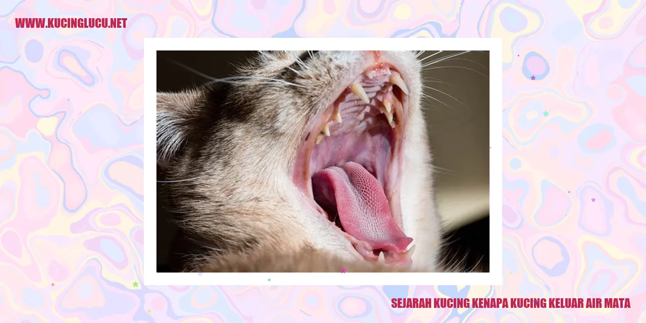 Kucing meneteskan air mata