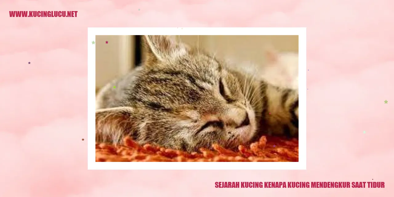Sejarah Kucing kenapa kucing mendengkur saat tidur