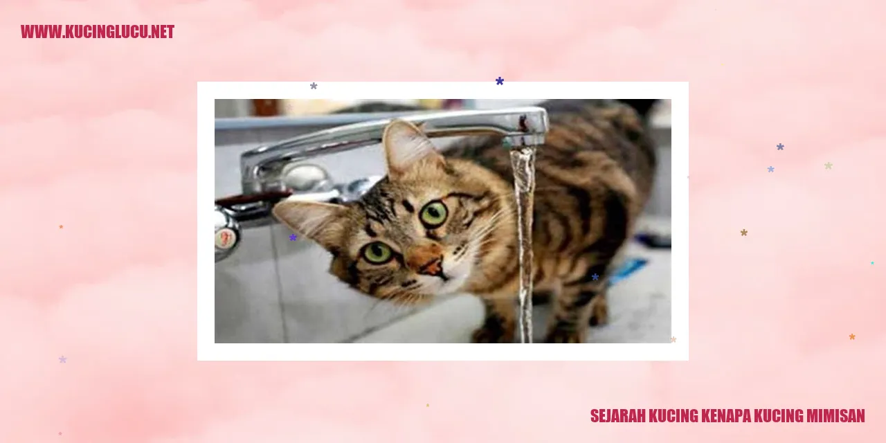 Ilustrasi Kucing Menangis Darah