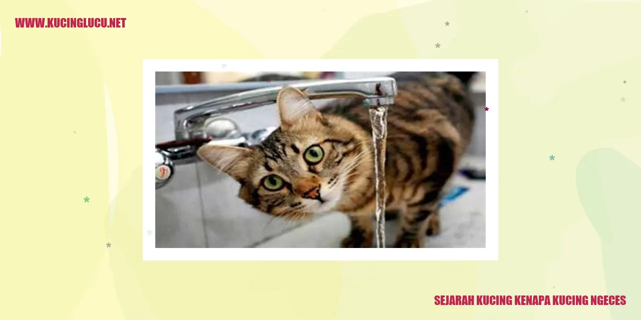 Ilustrasi Kucing Ngeces