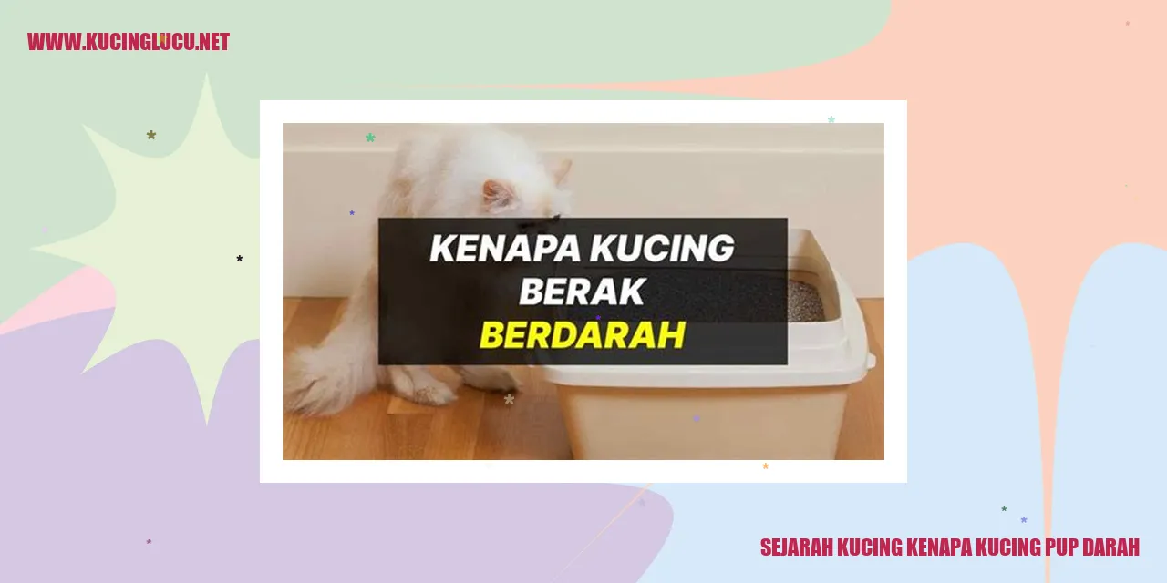 Ilustrasi Kucing
