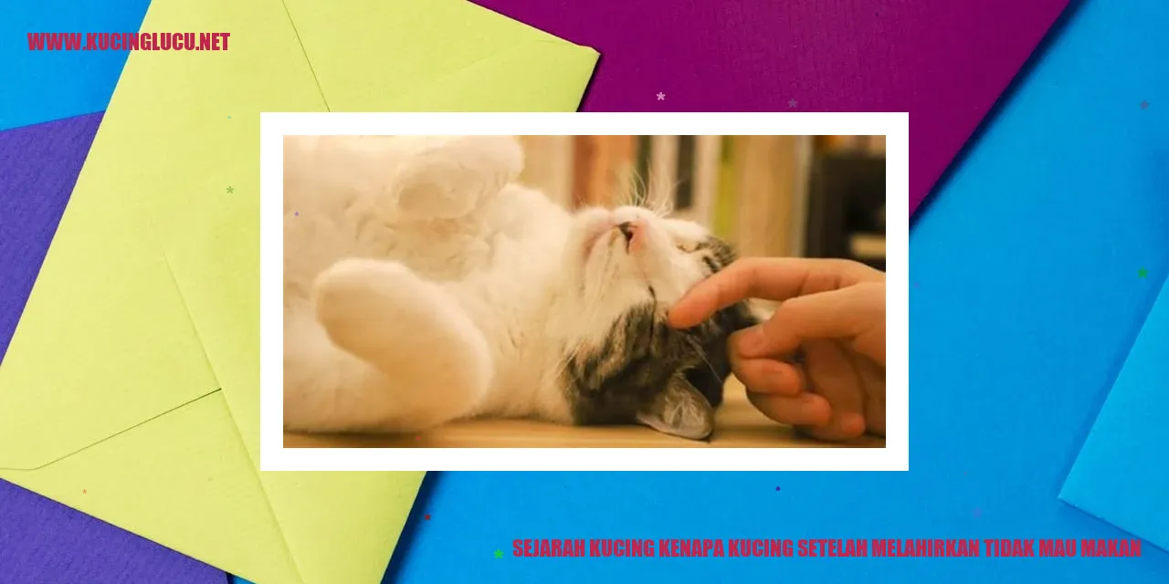 Sejarah Kucing dan Fase Pasca Melahirkan