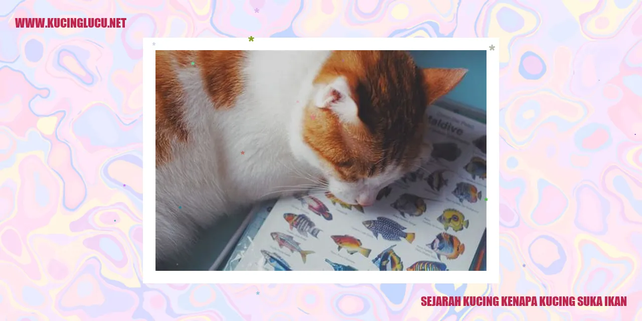 Gambar Kucing Menyukai Ikan