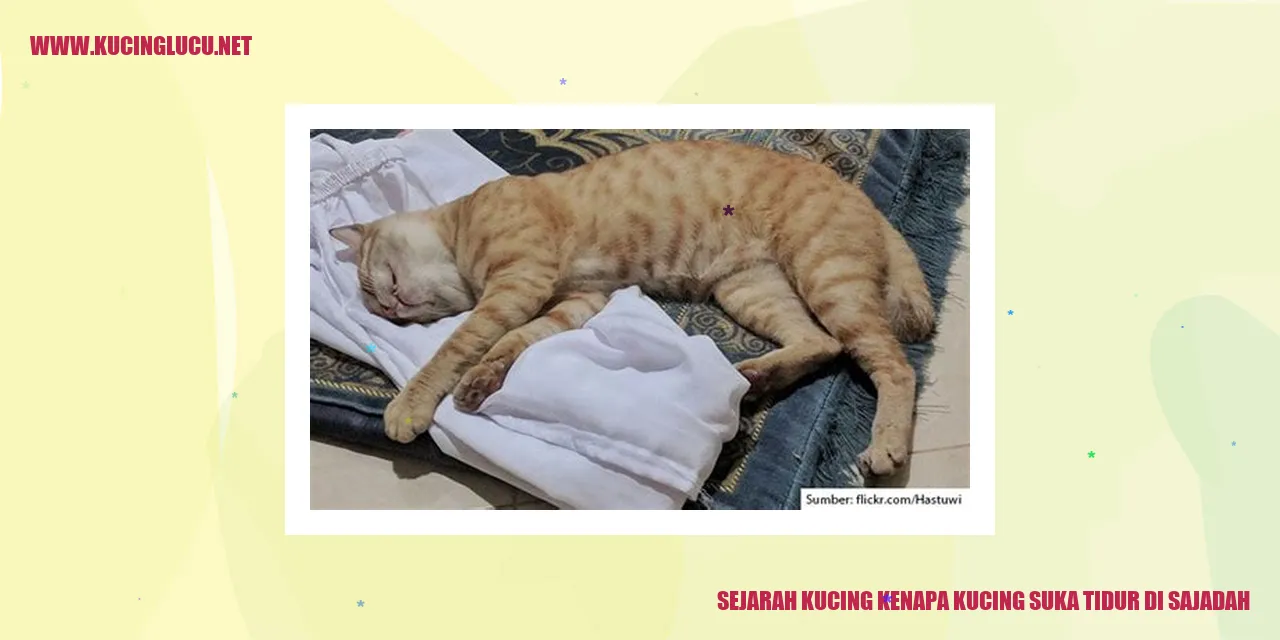 Sejarah Kucing