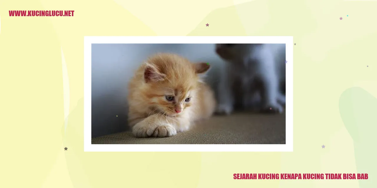 Sejarah Kucing Kenapa Kucing Tidak Bisa Bab