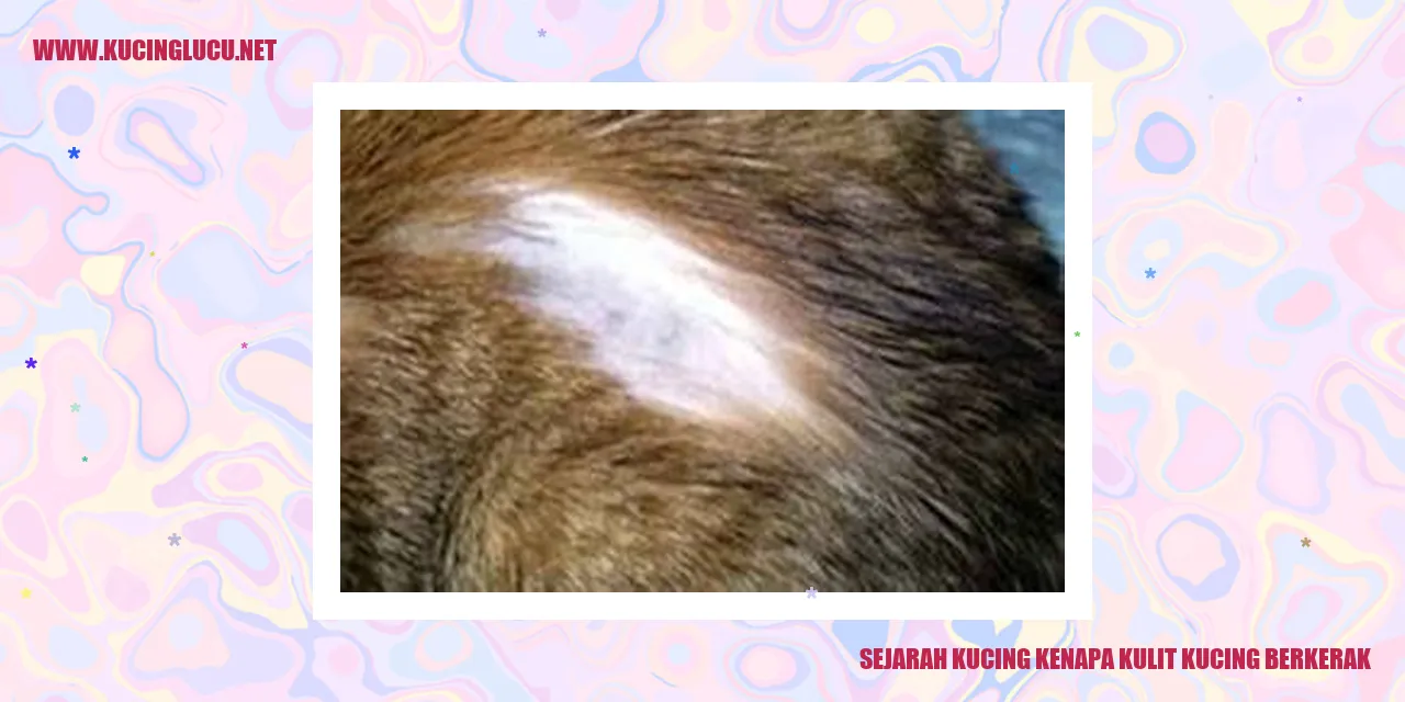 Sejarah Kucing kenapa kulit kucing berkerak
