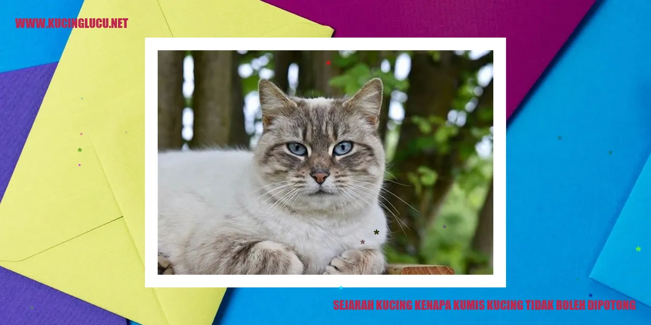 Sejarah Kucing
