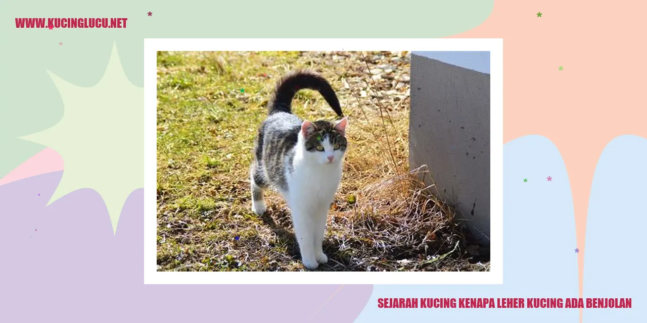Gambar kucing dengan benjolan di leher