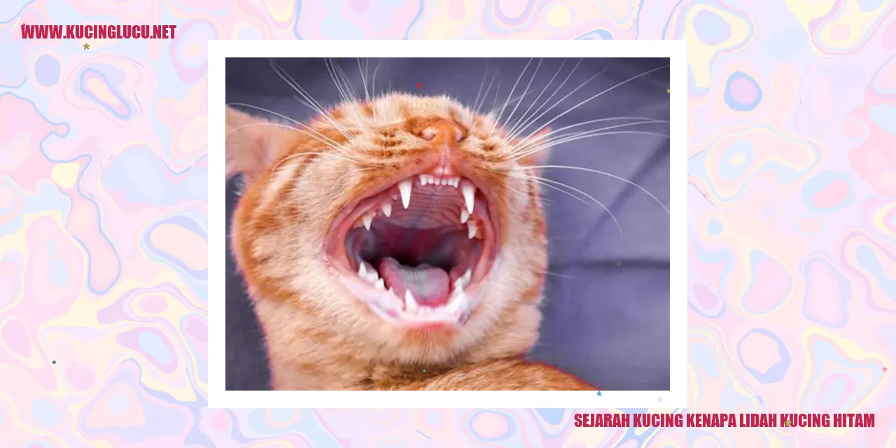Foto Kucing