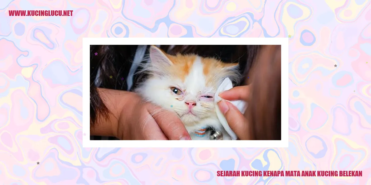 Gambar anak kucing dengan masalah belekan pada matanya