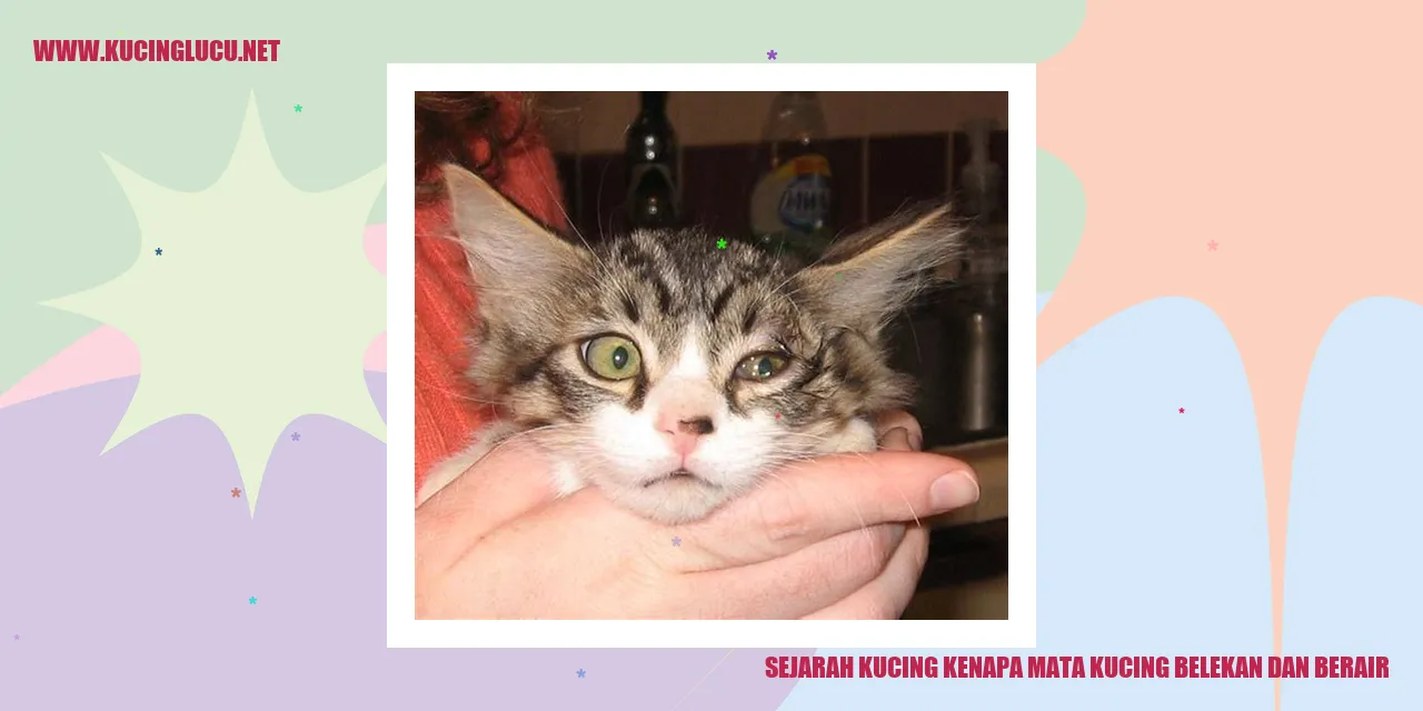 Ilustrasi kucing dengan mata belekan dan berair