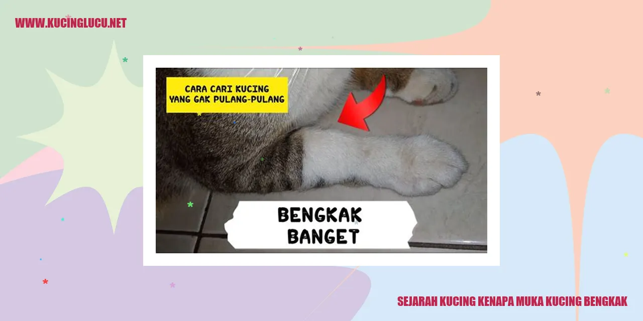 Gambar Kucing yang Menggemaskan