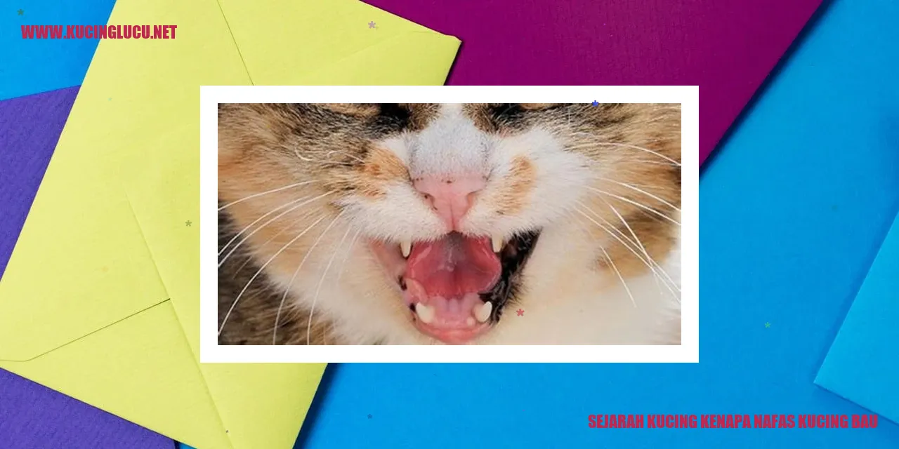 Sejarah Kucing