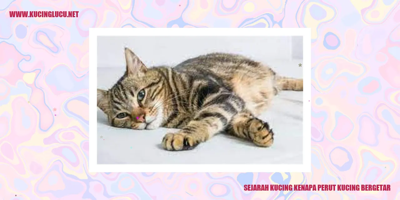 Gambar Kucing yang Menggemaskan