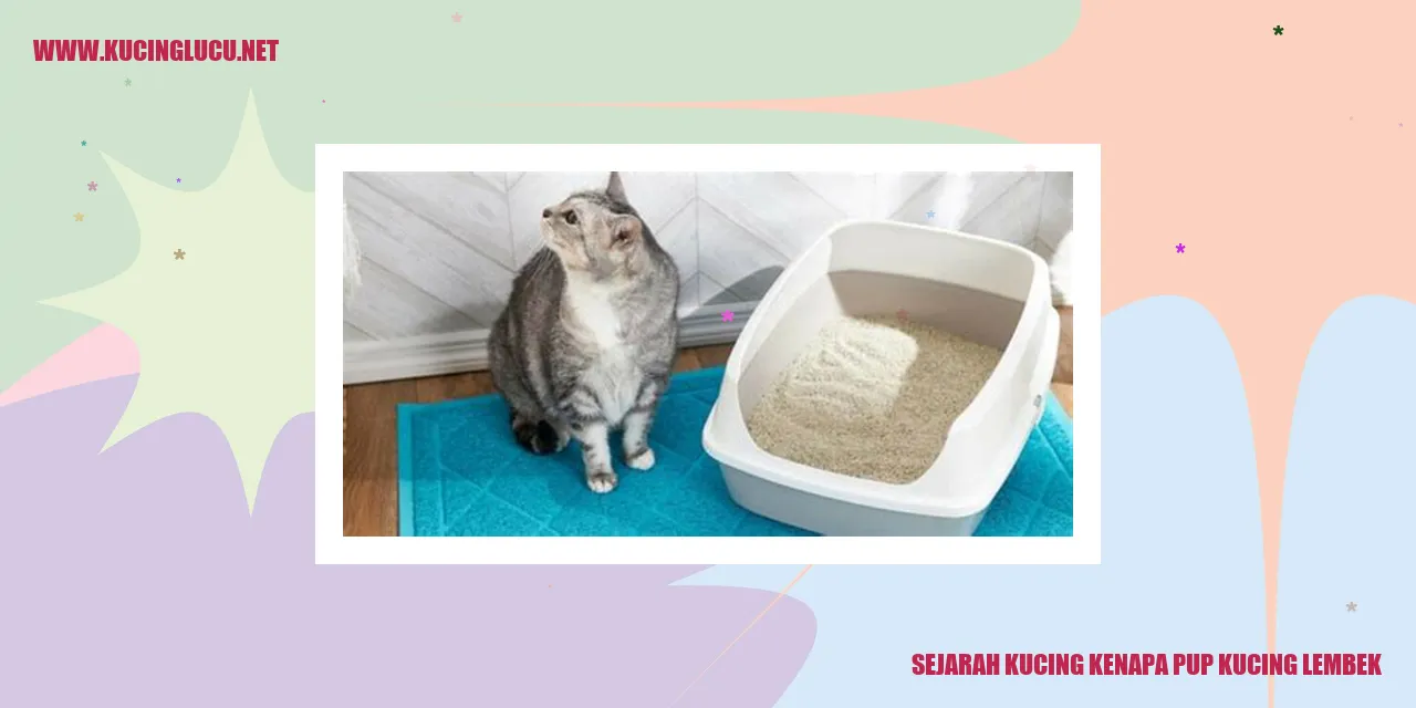 gambar kucing