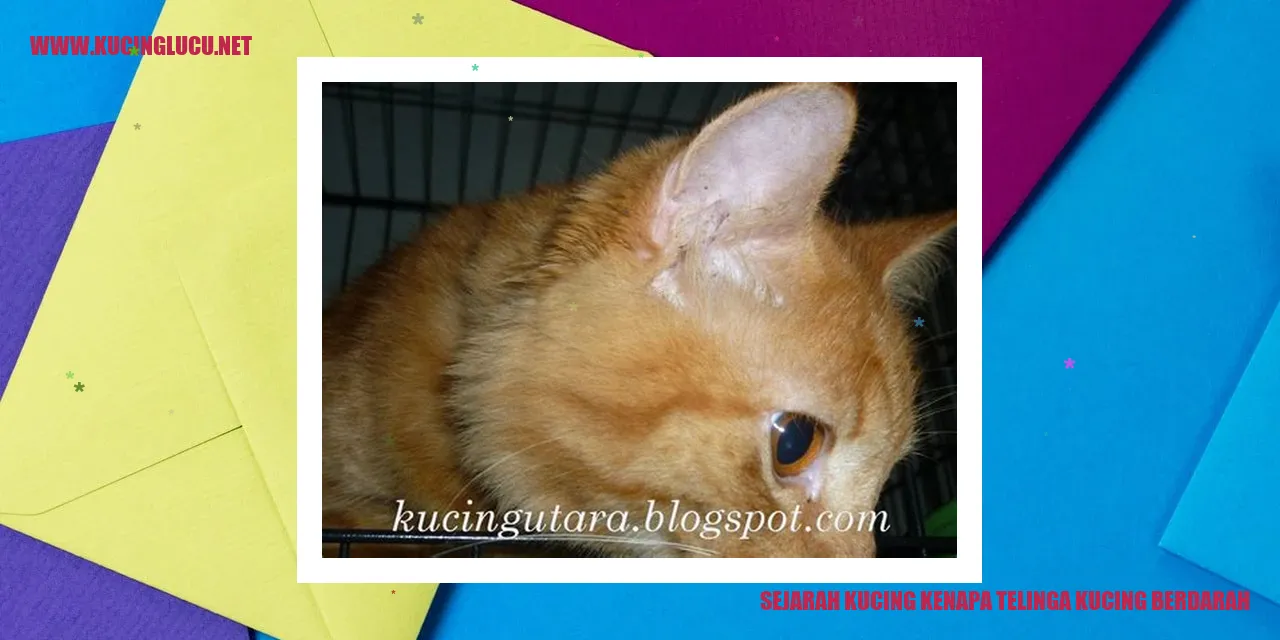 Telinga Kucing Berdarah