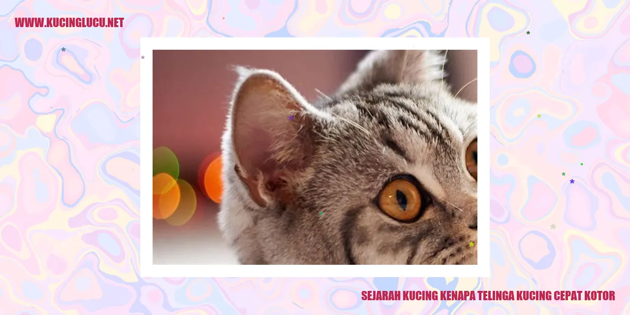 Ilustrasi Kucing