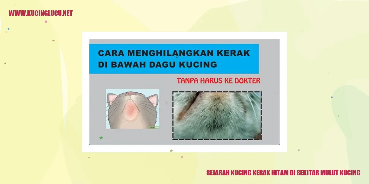 Sejarah Kucing Kerak Hitam di Sekitar Mulut Kucing