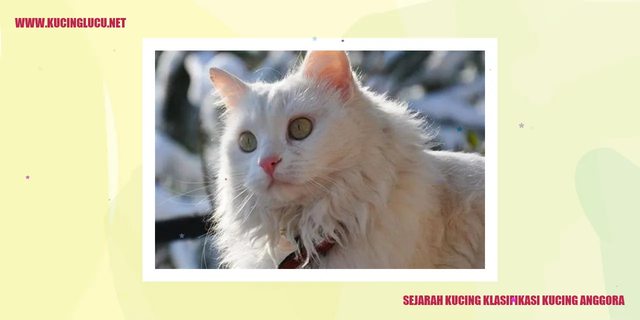 Sejarah Kucing Anggora
