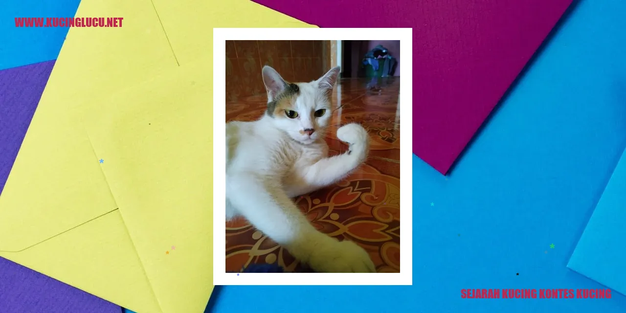 Foto Sejarah Kucing Kontes Kucing