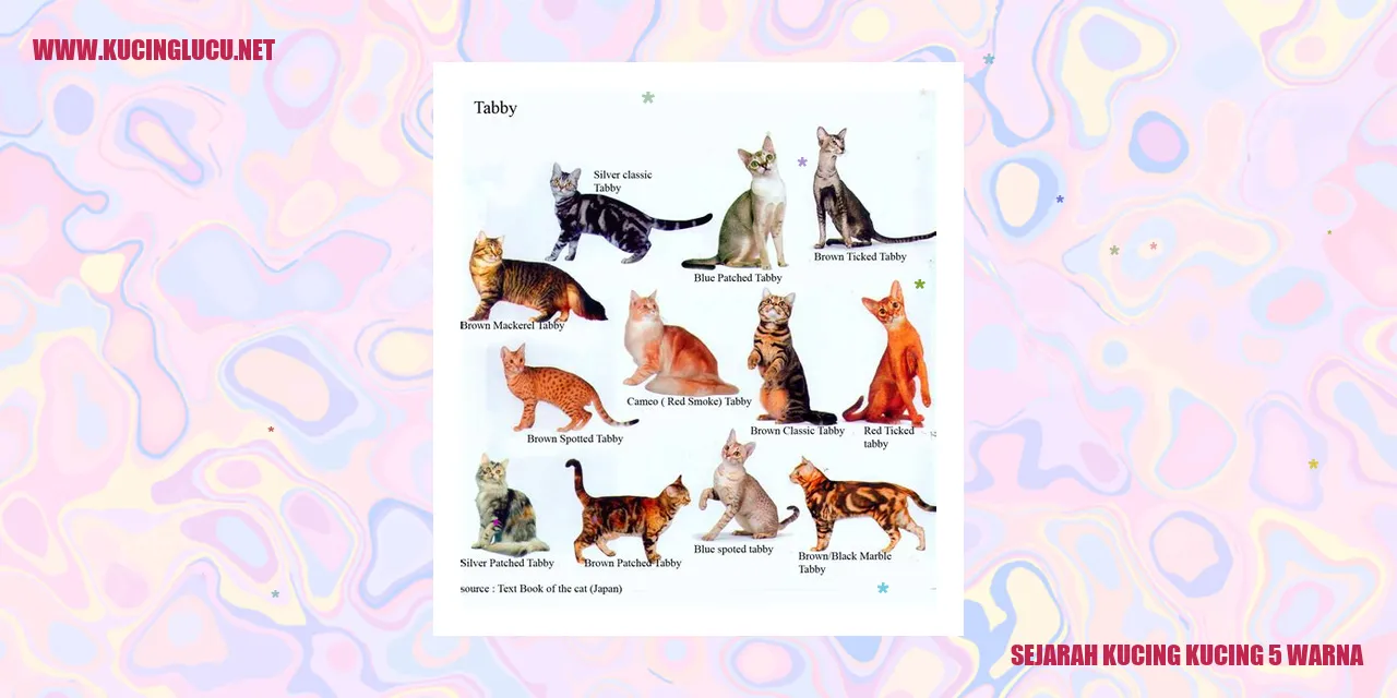 Kucing 5 Warna