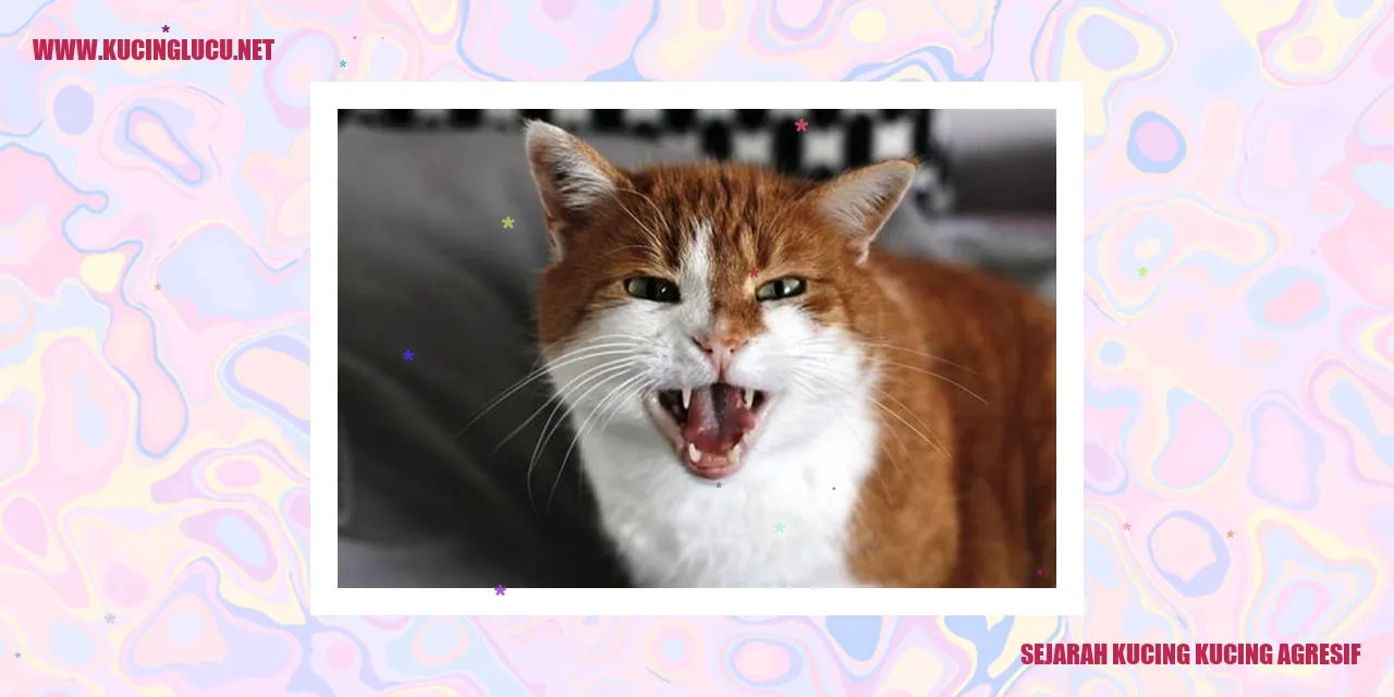 Kisah Kucing-kucing yang Penuh Tantangan