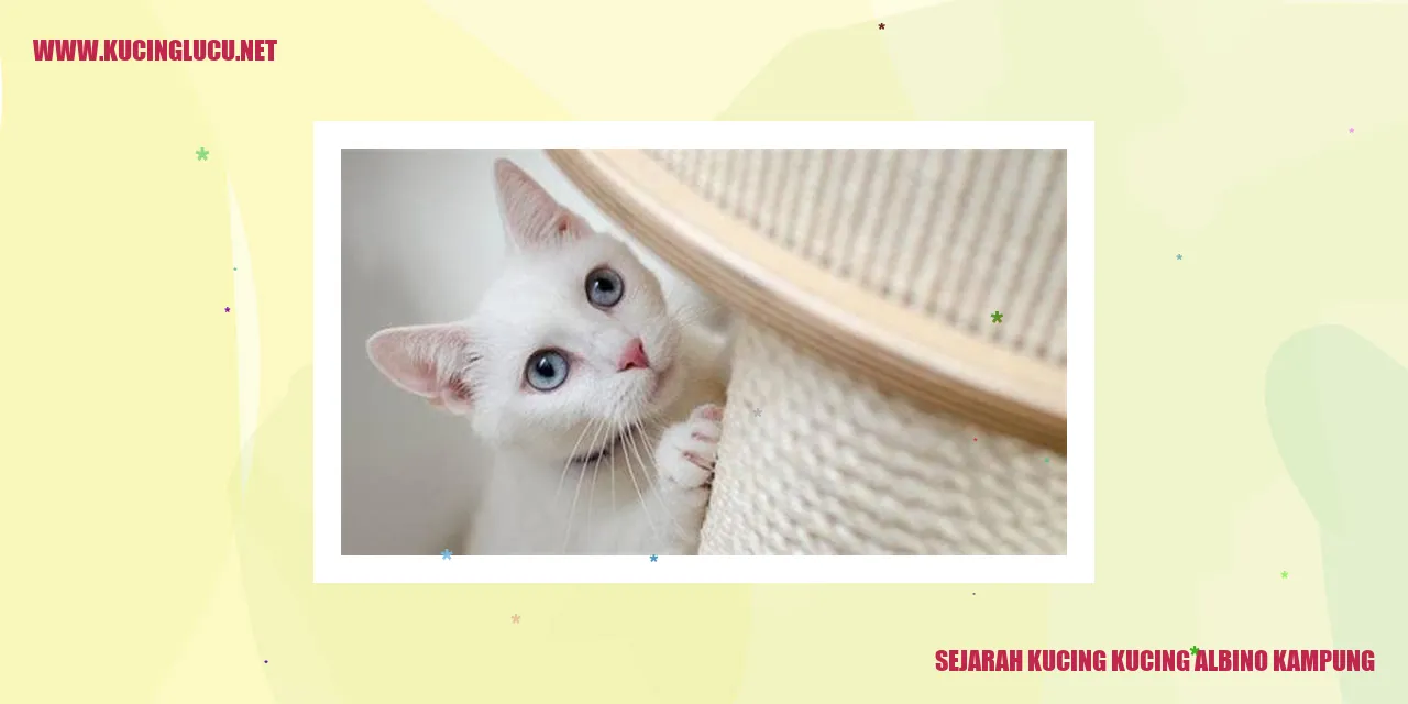Gambar kucing albino kampung