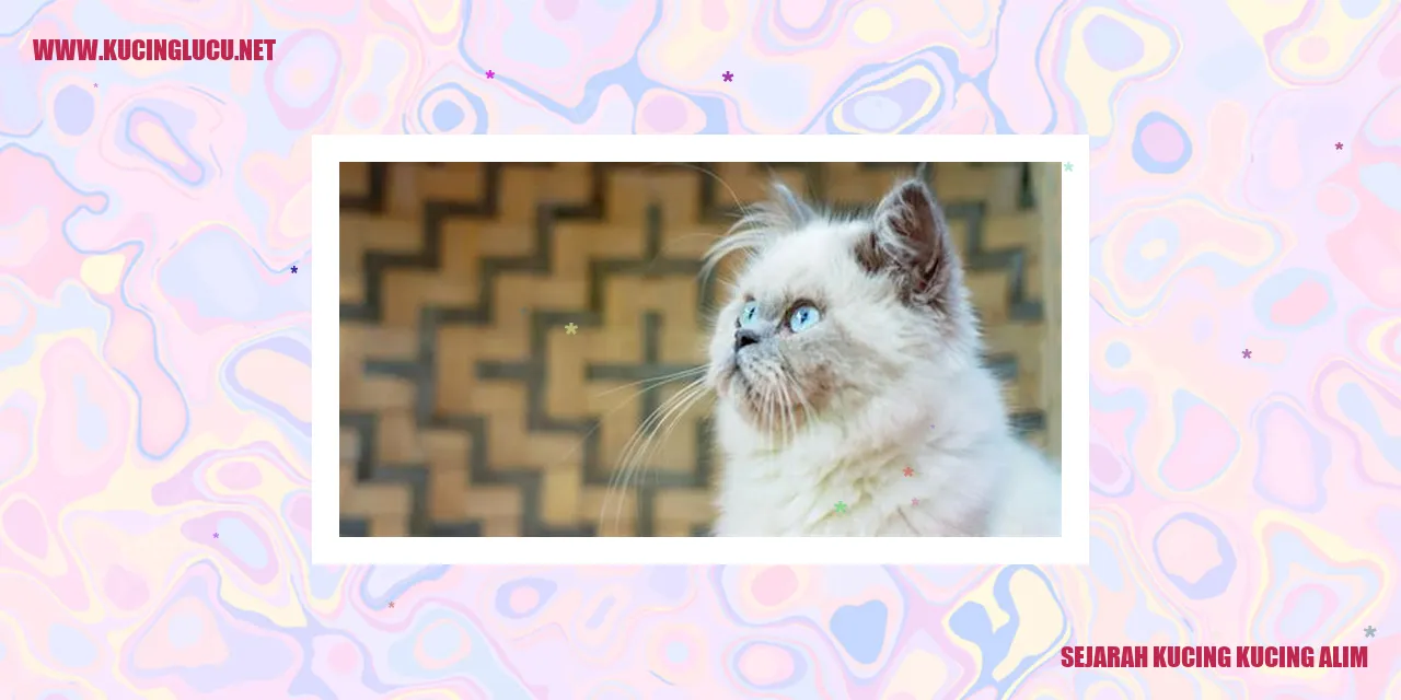 gambar kucing alim