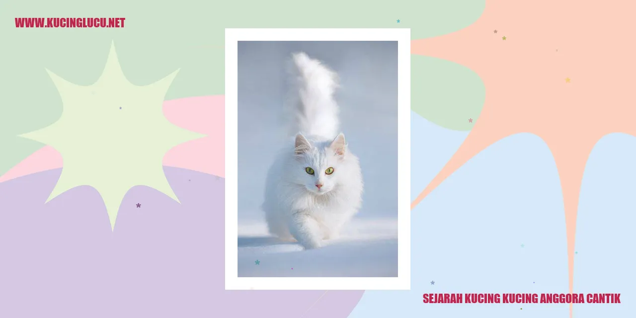 Kucing Anggora