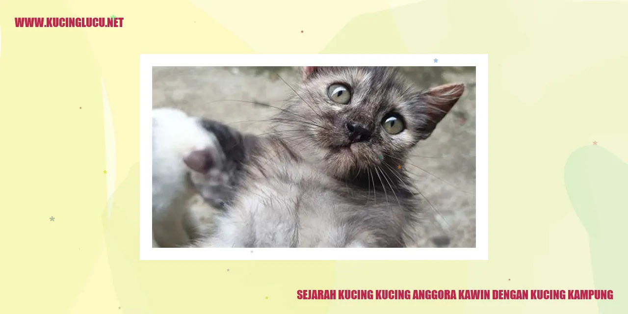 Kejadian Kucing Anggora dan Kucing Kampung