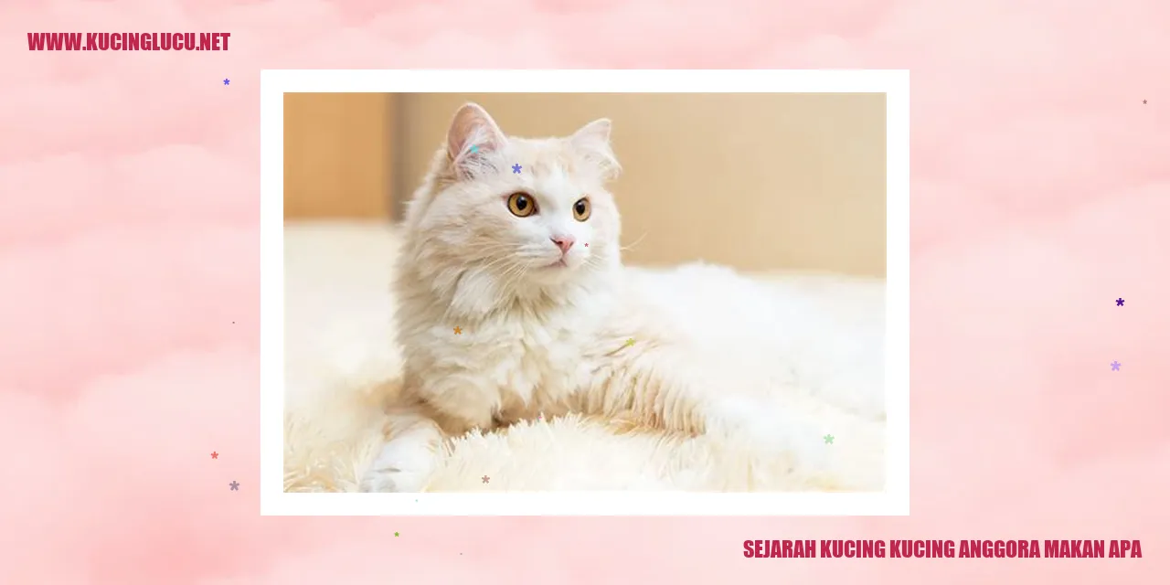 Kucing Anggora