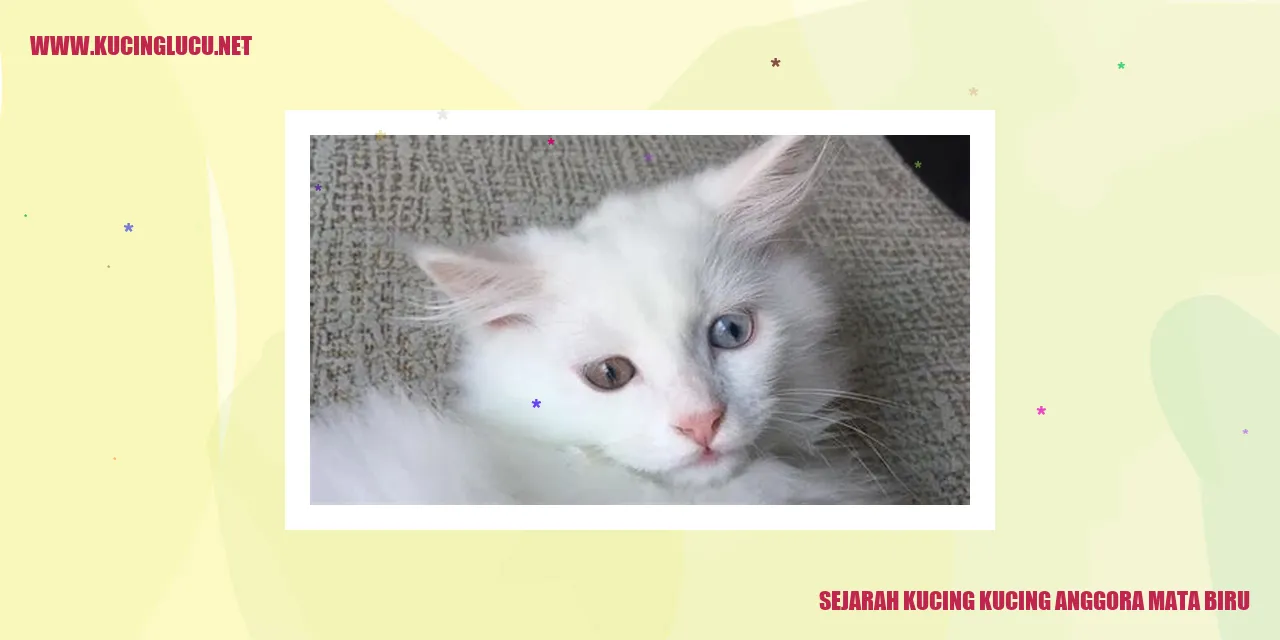 Kucing Anggora Mata Biru