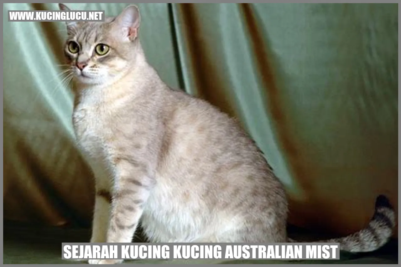 Sejarah Kucing Kucing Australian Mist