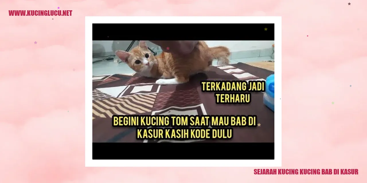 Gambar Kucing Bab di Kasur
