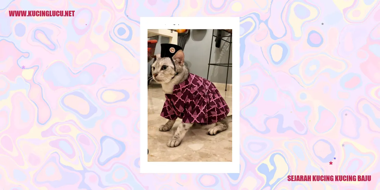 Potret Kucing Berpakaian