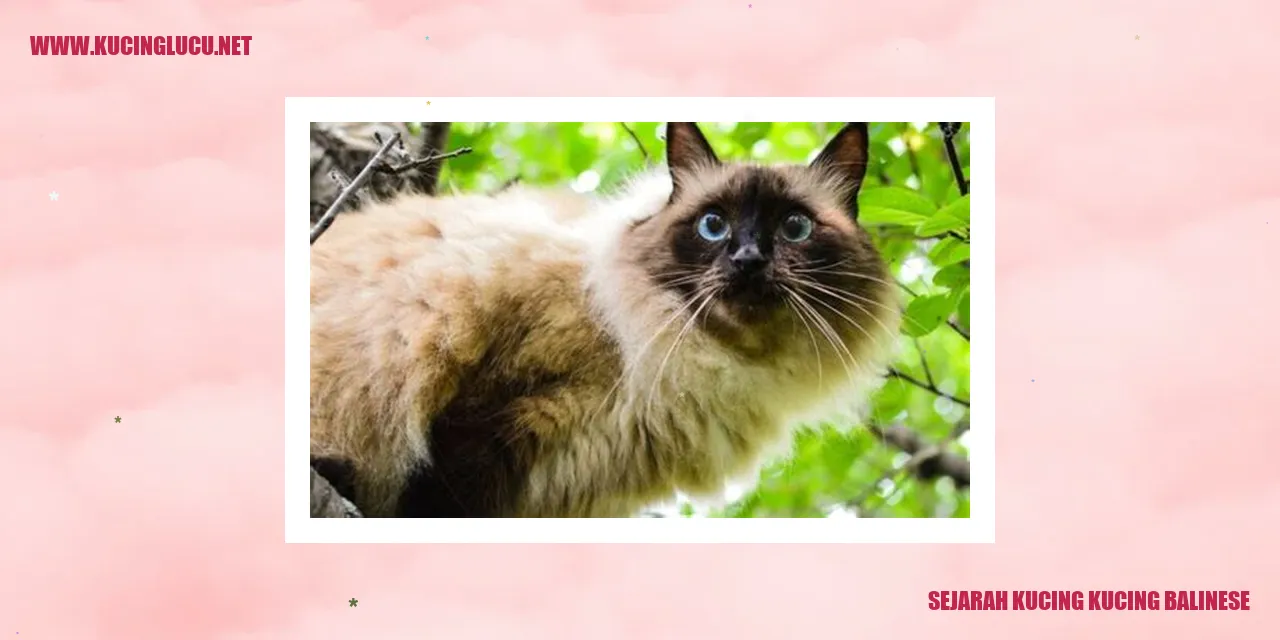 Sejarah Kucing Balinese