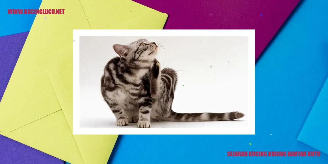 gambar kucing