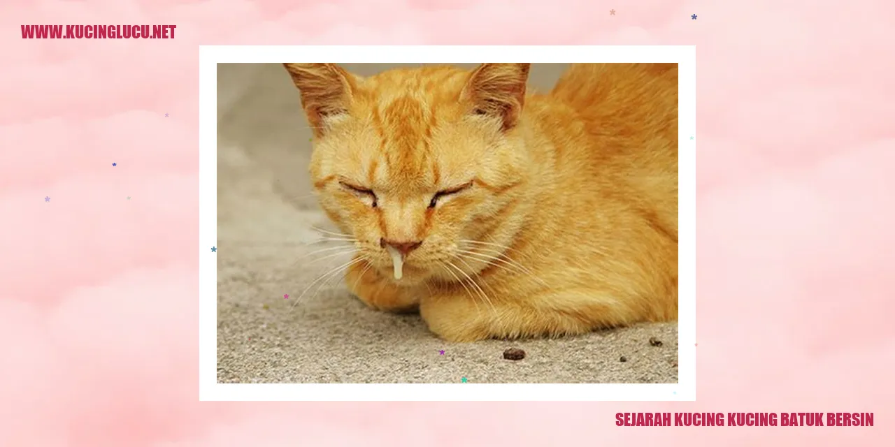Sejarah Kucing Kucing Batuk Bersin