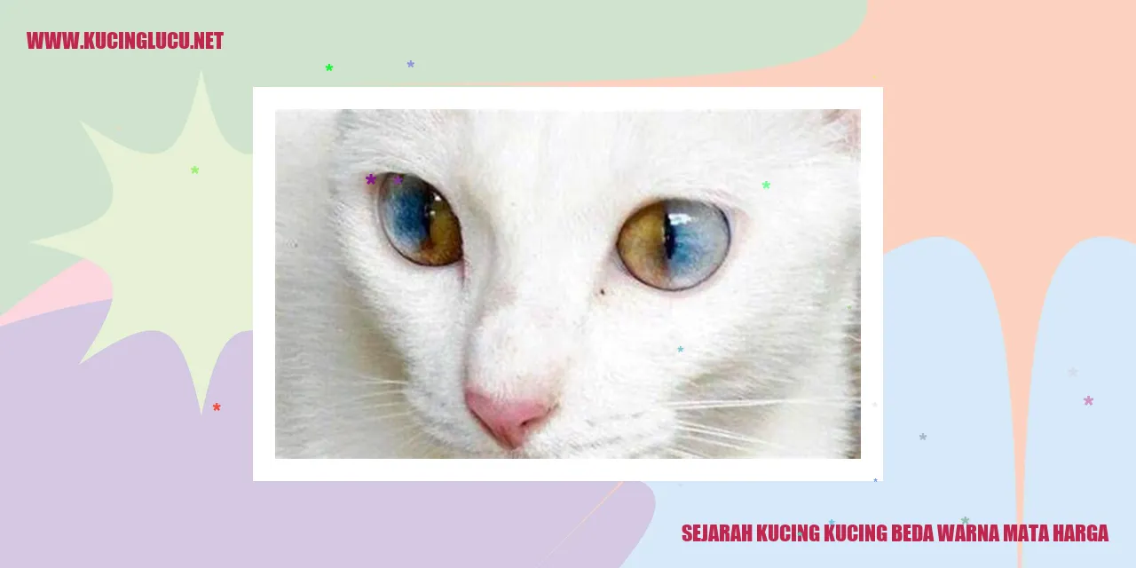 Gambar Kucing dengan Warna Mata Berbeda